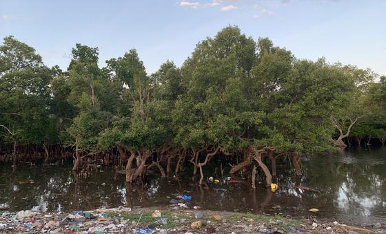 L’Afrique détient le pouvoir et les outils pour redessiner un avenir sans pollution plastique